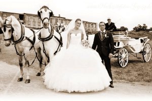 Foto: Hochzeitskutsche in Leipzig mieten