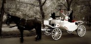 Vorschaubild-Foto-15-Hochzeit-Grimma