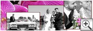 Fotografie zur Hochzeit