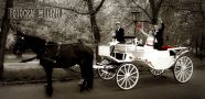 Vorschaubild-Fotos-Hochzeit-Schloss Machern