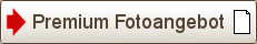 Premium Hochzeitsfotoangebot_12_Stunden