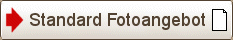 Standard Hochzeitsfotoangebot_3_Stunden