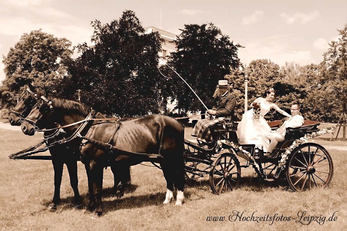 Hochzeitskutsche Leipzig Mieten Kutsche Fur Hochzeit Buchen