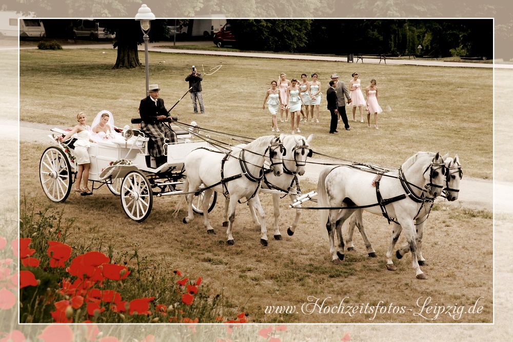 Auto Mieten Hochzeit Hochzeitsauto Mieten Bulli T1 Oldtimer