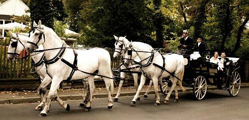 Hochzeitskutsche Grosspsna