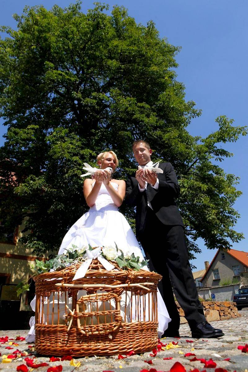 Bild: Hochzeitstauben