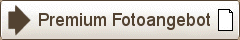 Premium Paket Hochzeitsfotograf 10 Stunden