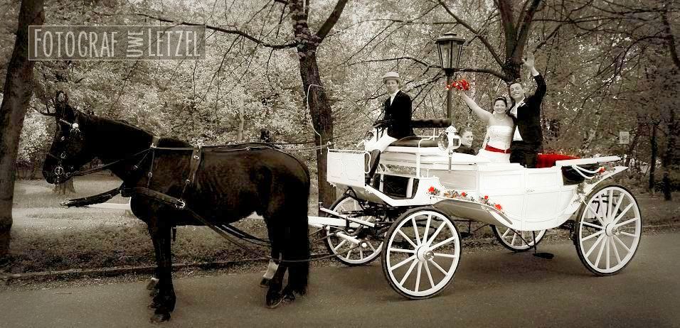 Hochzeitsfotograf Standesamt Machern - Trauung im Schloss Machern und Brautpaarbilder im Schlosspark