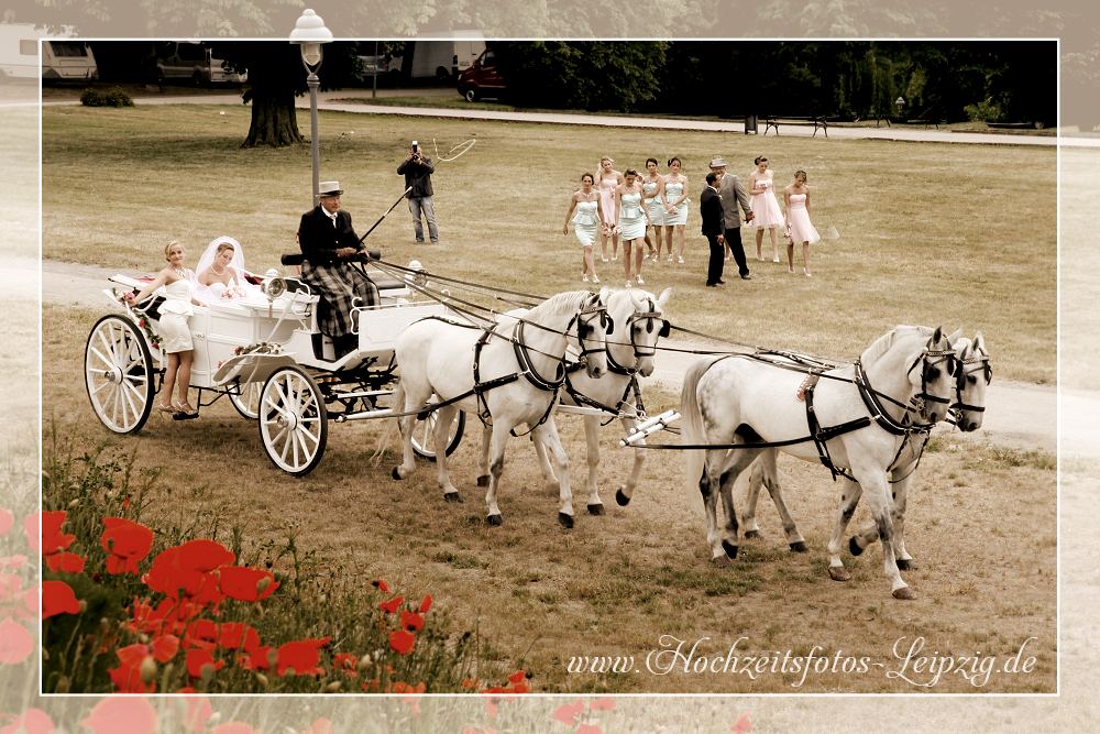 Bild: Zur Hochzeit Pferdekutsche mieten